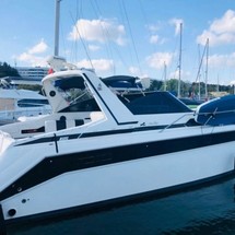 Sea Ray 350 Sundancer