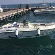 Ranieri international shadow 19