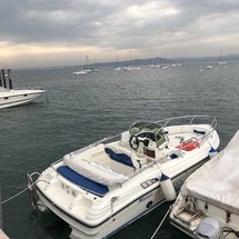 Ranieri international shadow 19