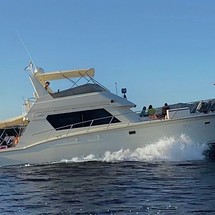 Hatteras 77 Convertible