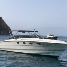 Tornado 38 Cruising