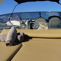 Cranchi Endurance 41