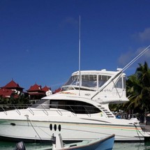 Ovation 52