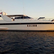 Mangusta 80