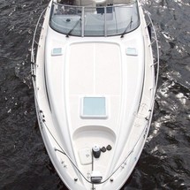 Bayliner 305