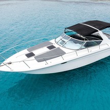 Sea ray 400