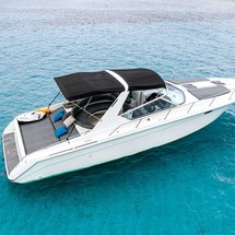 Sea ray 400