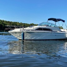 Sea Ray 245 Sundancer