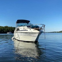 Sea Ray 245 Sundancer