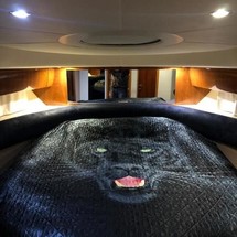 Princess V42