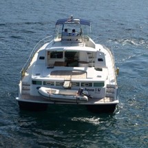 Lagoon Power 43