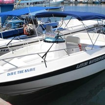 Eden 22