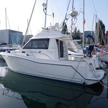 Rodman 870