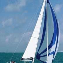 Harmony 38