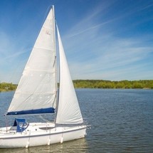 Northman Maxus 33.1 RS