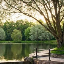 Northman Maxus 33.1 RS