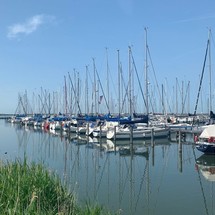 Bavaria Cruiser 36