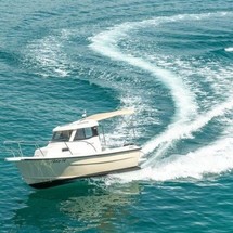 Fortis 590 C
