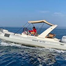 Shark 23