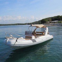 Shark 23