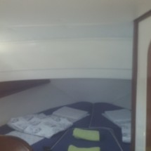 Damor 800