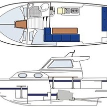 Damor 800