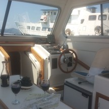 Damor 800