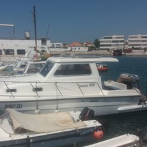Damor 800
