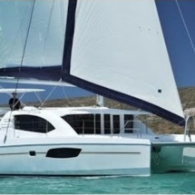 Leopard 44