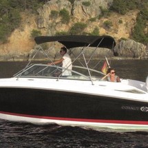 Cobalt 242