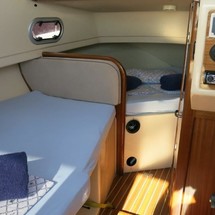 Damor 700