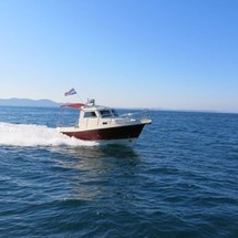 Damor 700