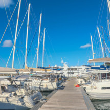 Leopard 40