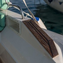Shark 23