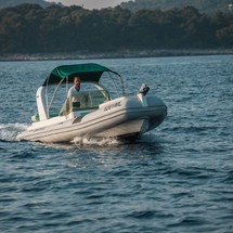Shark 23