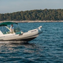 Shark 23
