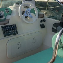 Shark 23