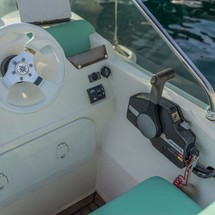 Shark 23