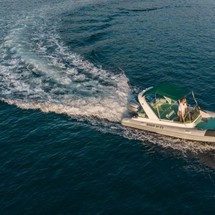 Shark 23