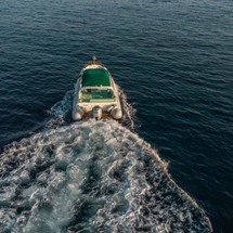 Shark 23