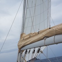 Bavaria 44
