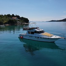 Dellapasqua dc 11 s flying bridge