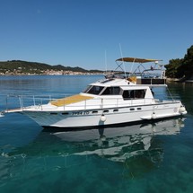 Dellapasqua dc 11 s flying bridge