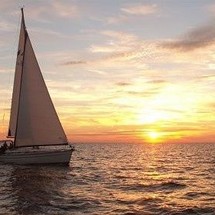 Bavaria 44