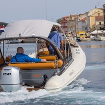 Shark 23