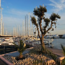 Jeanneau Sun Odyssey 490