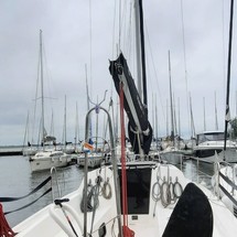 Northman Maxus 26