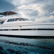 Elegance 80