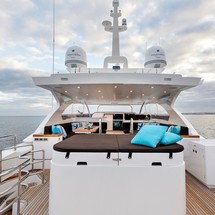Horizon RP110