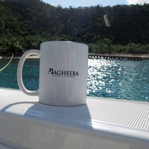 Lagoon 620
